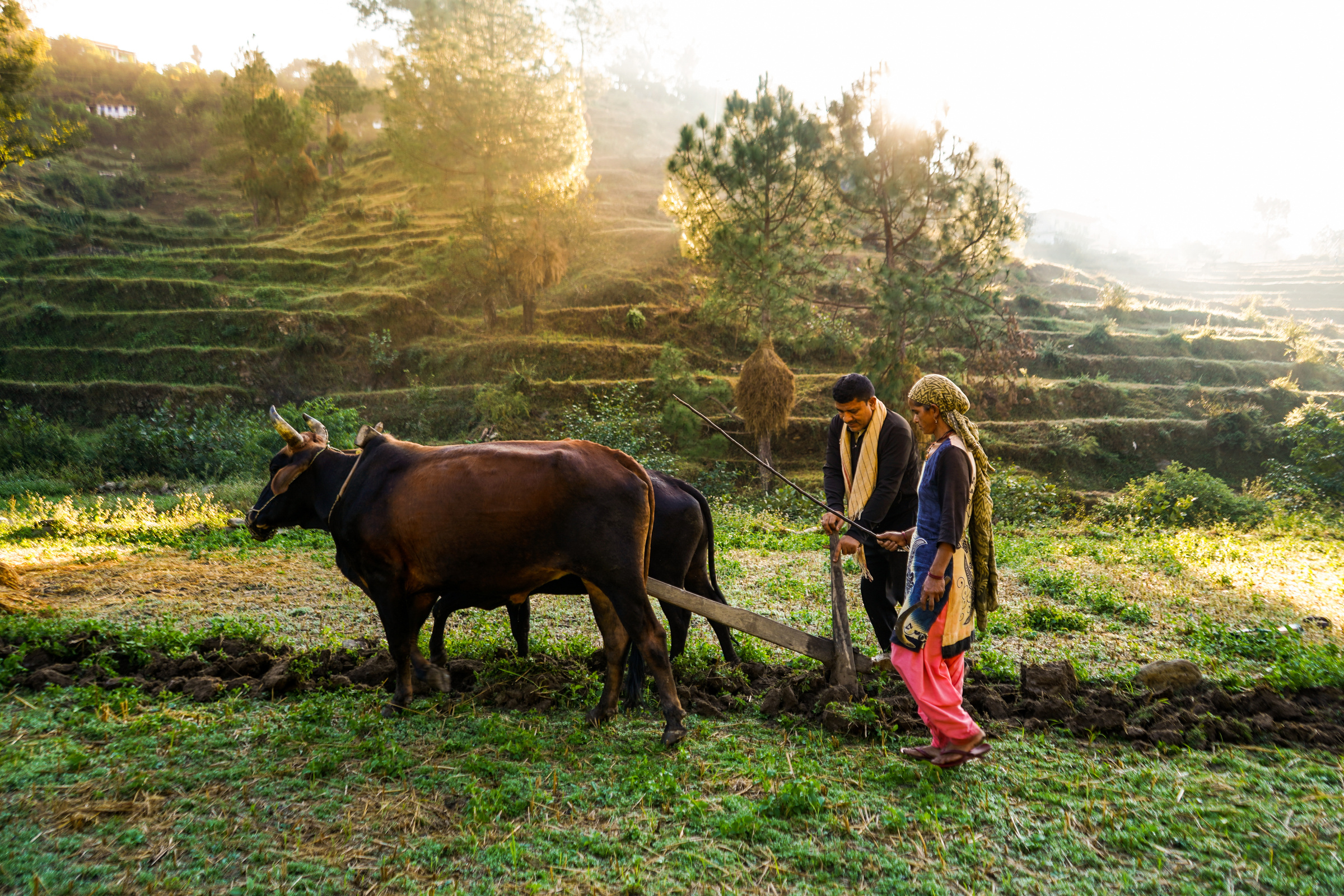 Farmers at the Field