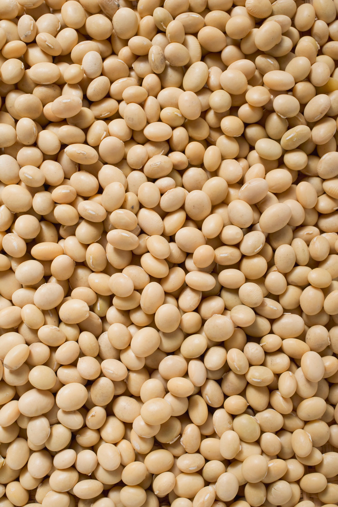 Soya Bean Textures